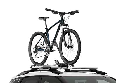 Transporte